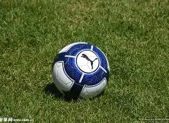 申花中超第,二轮,战胜海港,PG电子官网,PG电子试玩,PG电子模拟器,PG电子平台,PG电子下载