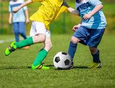 强化,三农,基础,PG电子官网,PG电子试玩,PG电子模拟器,PG电子平台,PG电子下载